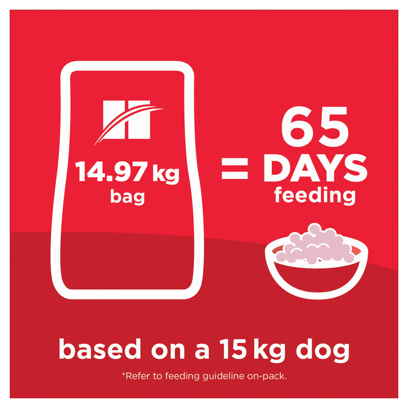 Hill's Science Diet Dry Dog Food Adult Large Breed Lamb & Rice