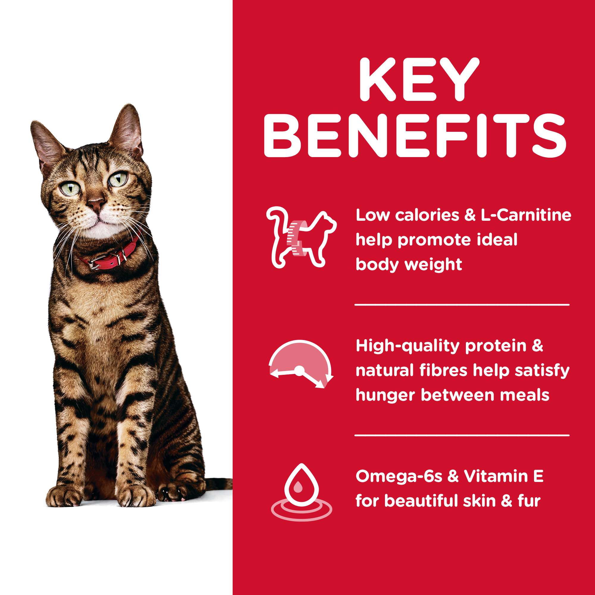 Hill's Science Diet Dry Cat Food Adult Light
