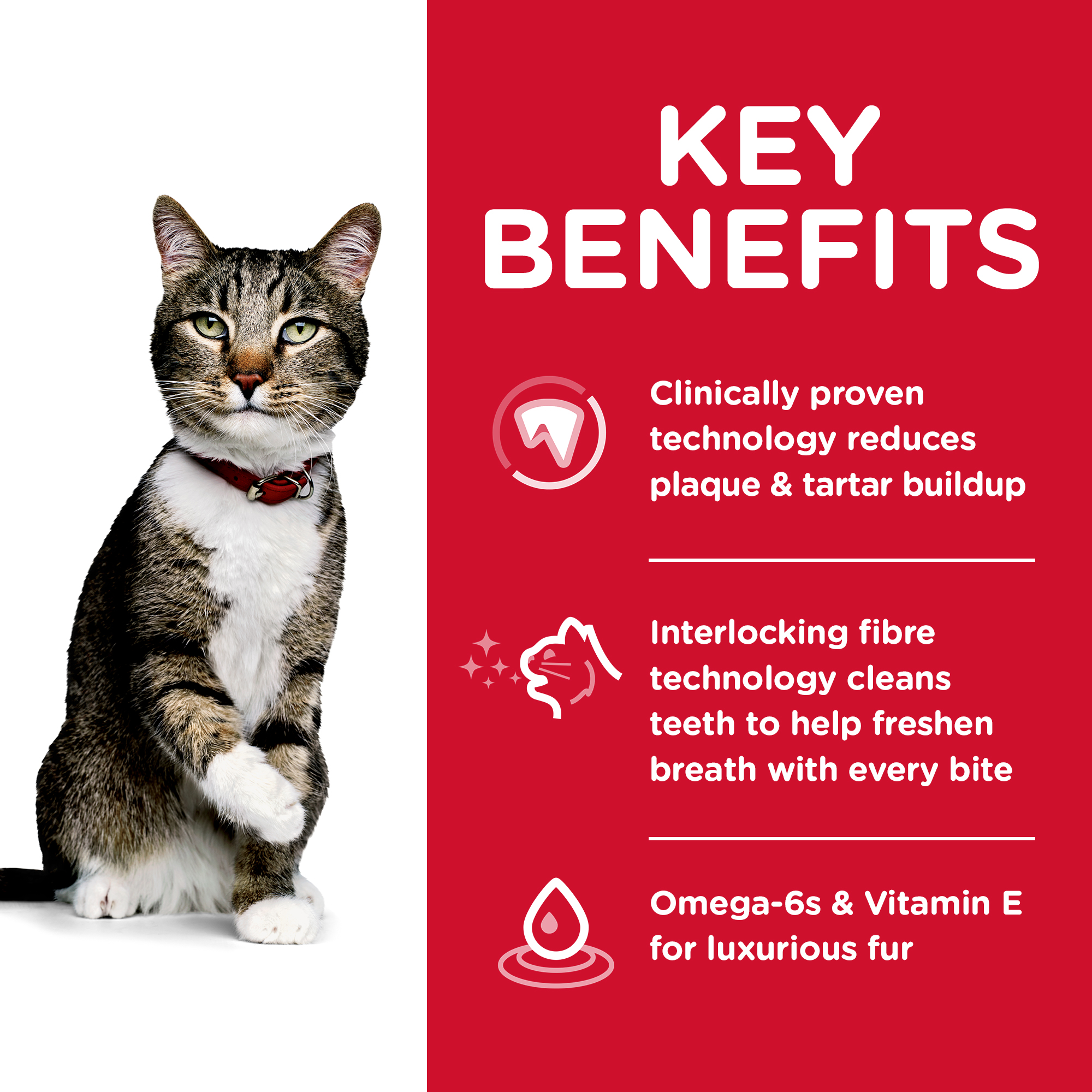 Hill's Science Diet Dry Cat Food Adult Oral Care