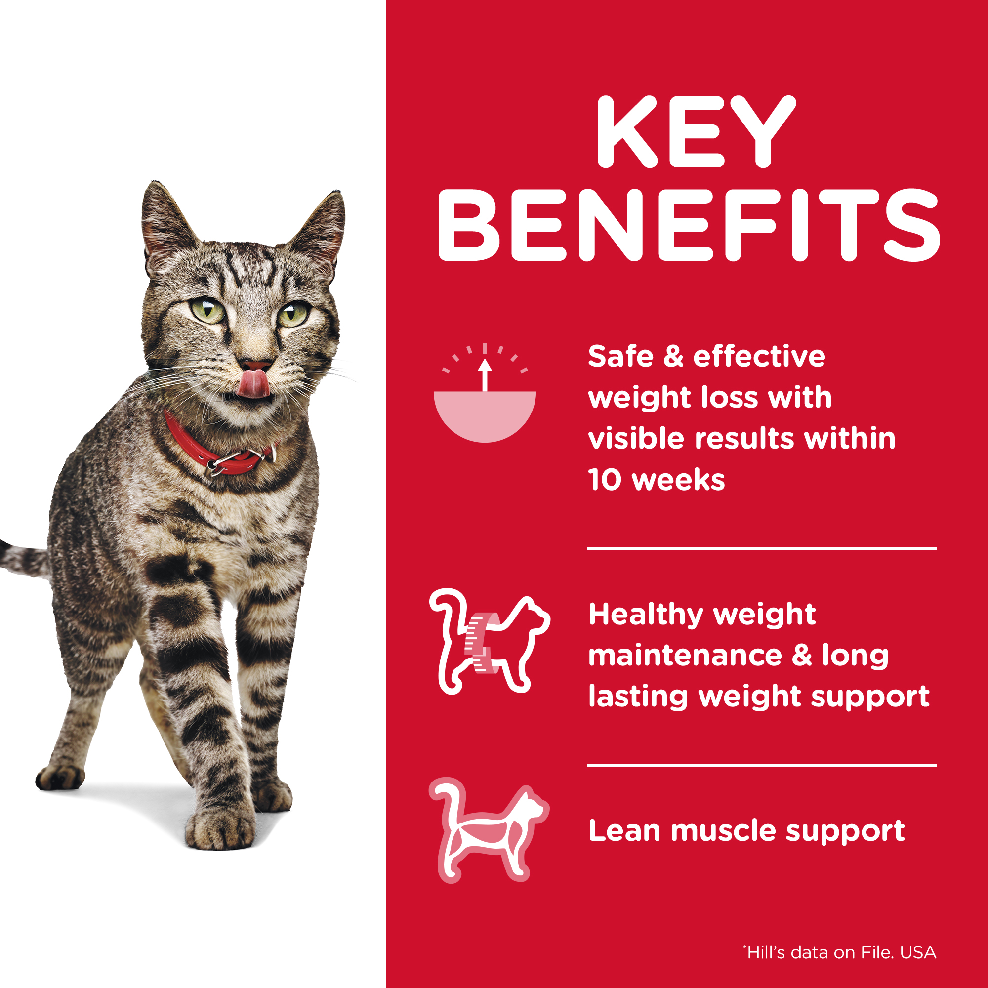 Hill's Science Diet Dry Cat Food Adult Perfect Weight