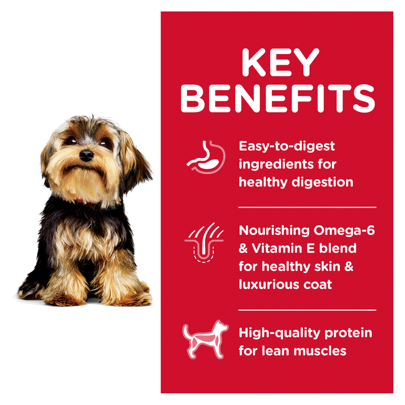 Hill's Science Diet Dry Dog Food Adult Small Paws Lamb & Rice