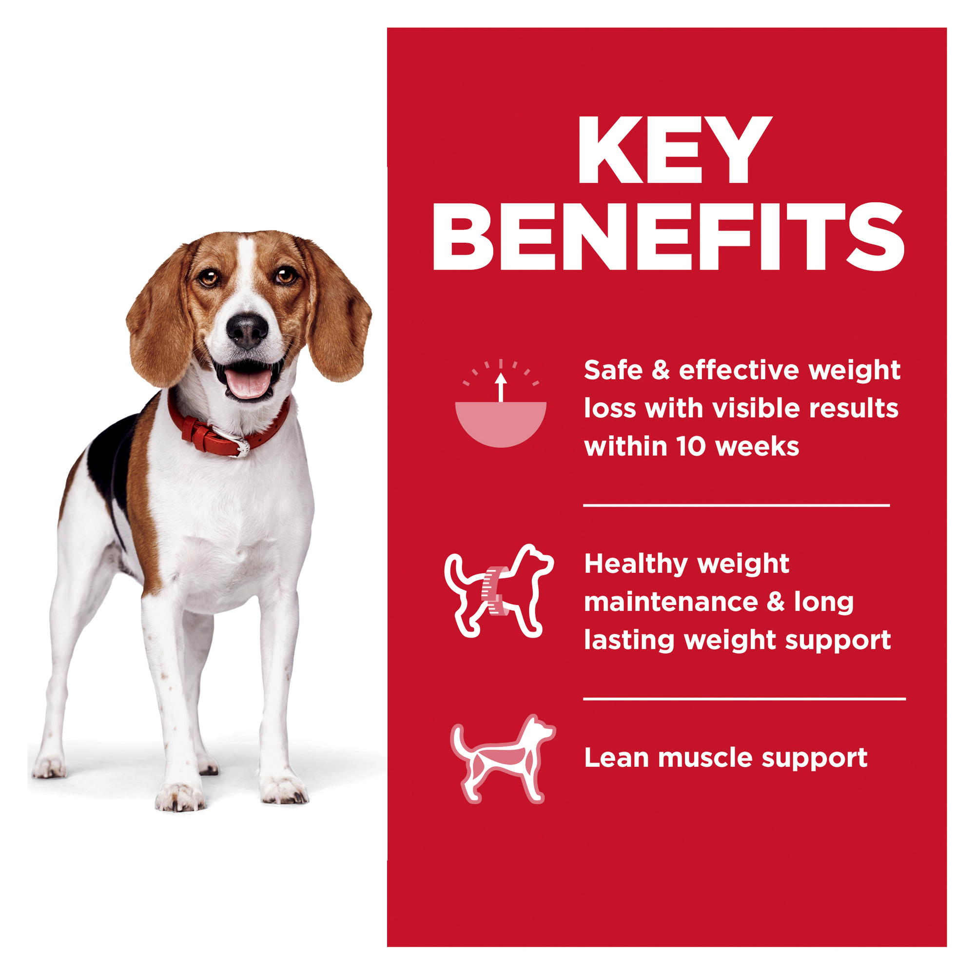 Hill's Science Diet Dry Dog Food Adult Perfect Weight Small Bites