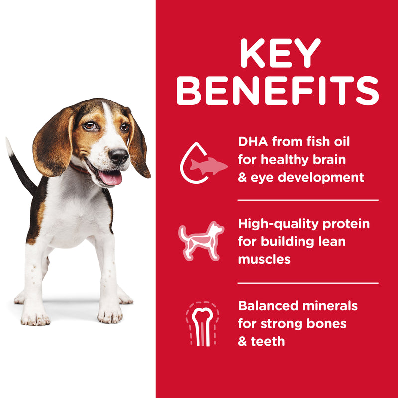 Hill's Science Diet Dry Dog Food Puppy 03