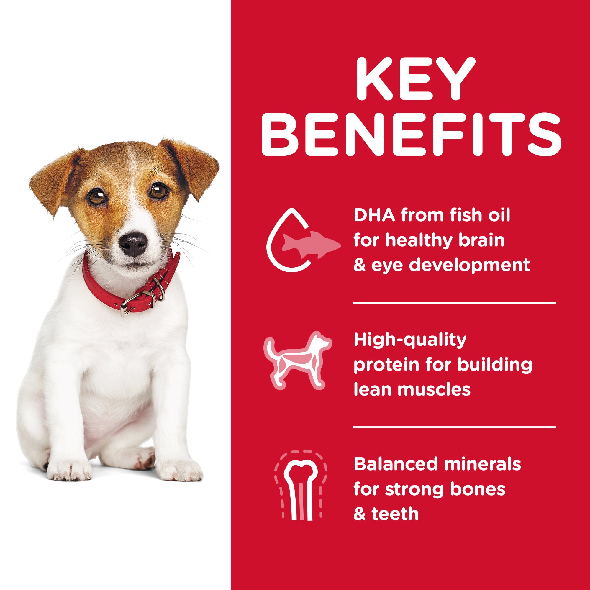Hill's Science Diet Dry Dog Food Puppy Small Bites 03