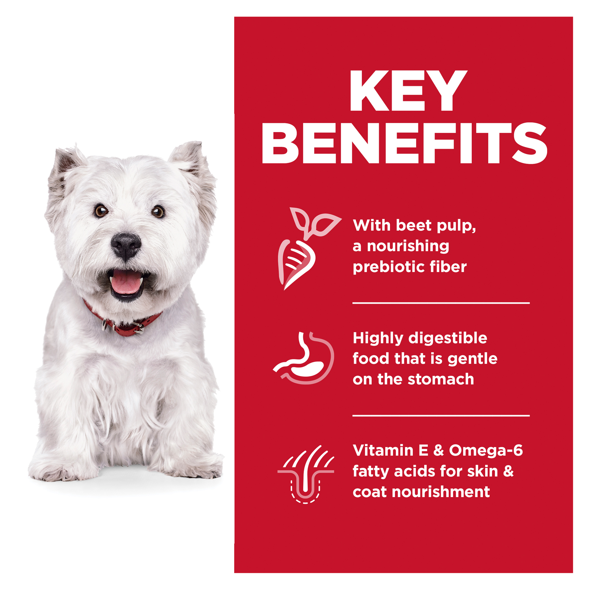 Hill's Science Diet Dry Dog Food Adult Sensitive Skin & Stomach Small Bites