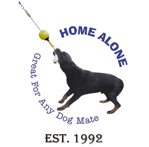 Aussie Dog Home Alone Dog Toy 04