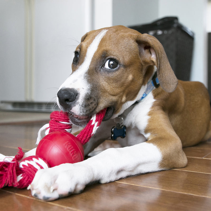 KONG Dog Toys Ball with Rope 04