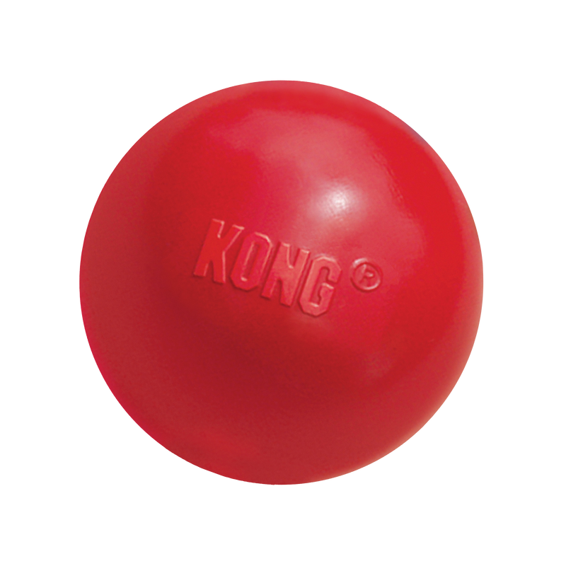 KONG Dog Toys Ball with Hole 01