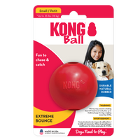 KONG Dog Toys Ball with Hole Small