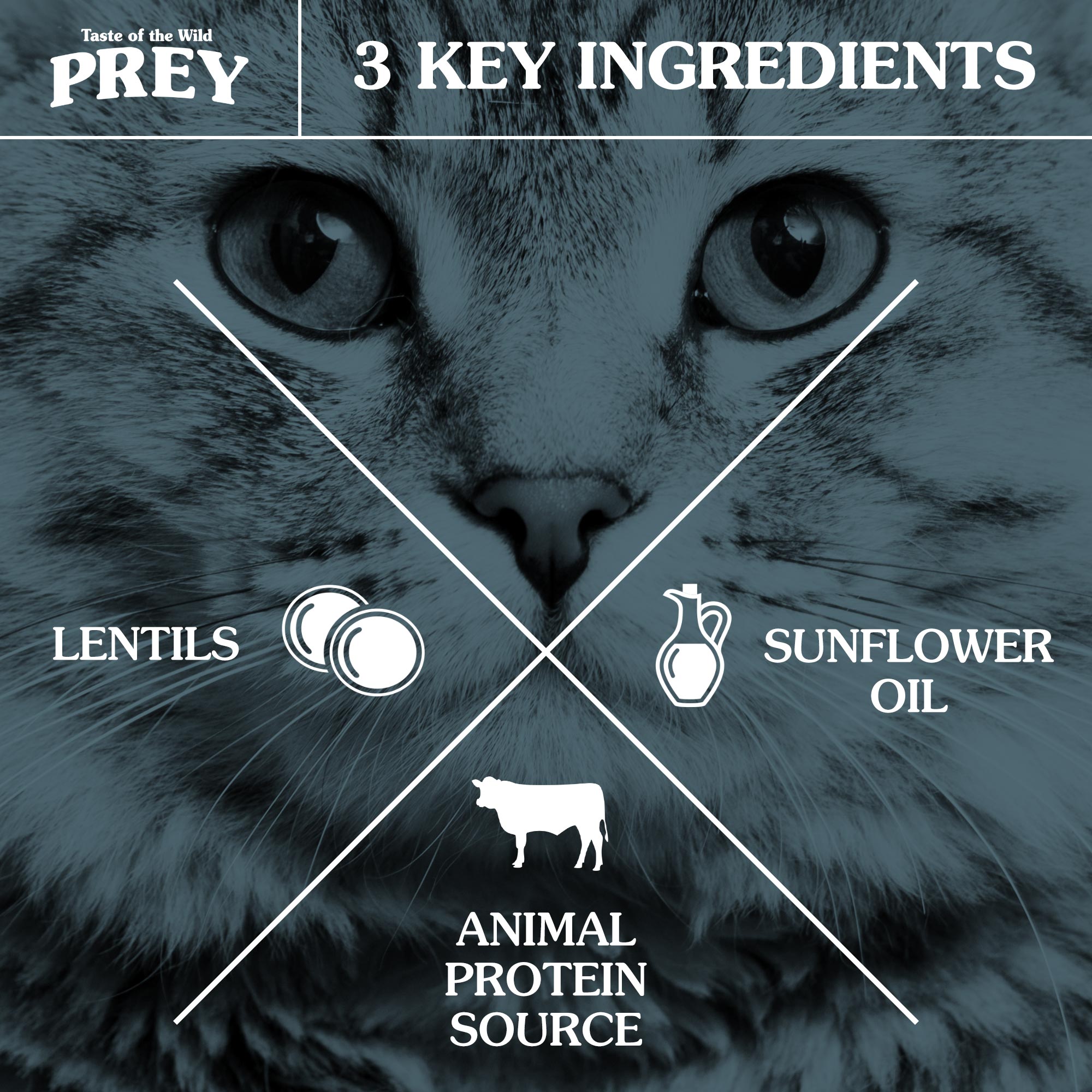 Taste of the Wild PREY Turkey Cat Food