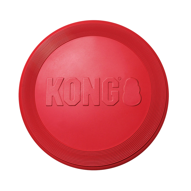 KONG Dog Toys Flyer 02
