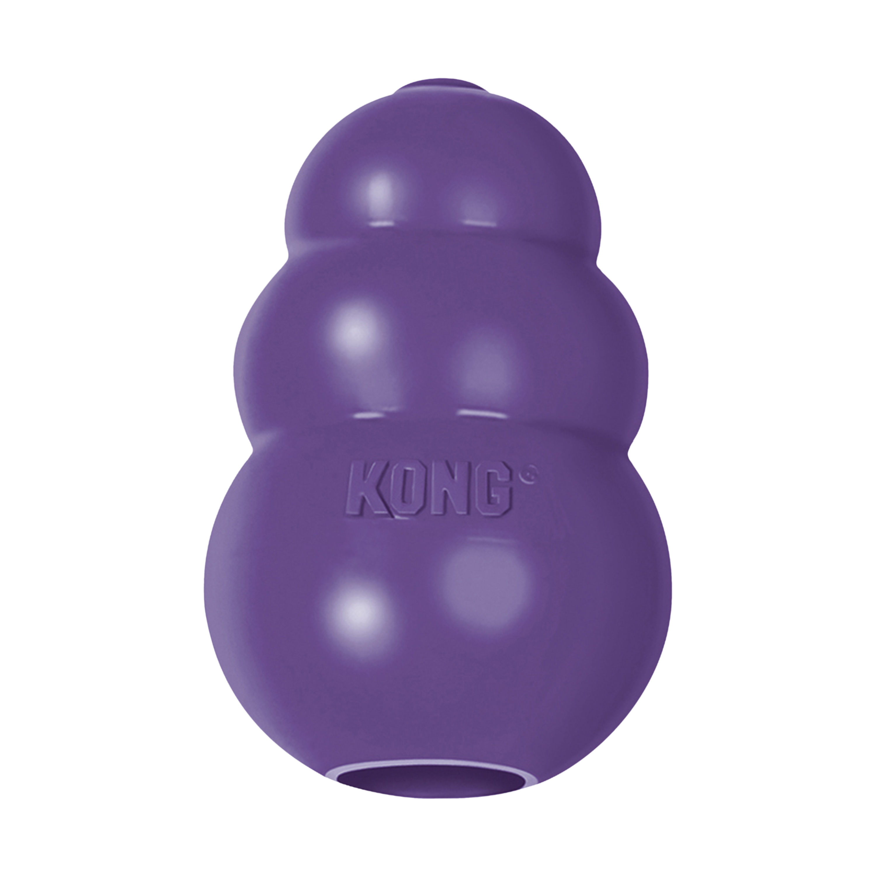 KONG Dog Toys Senior 01
