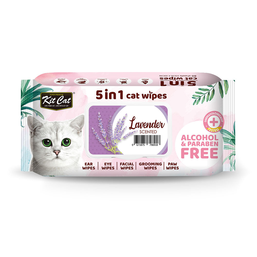 Kit Cat 5-in-1 Anti Bacterial Cat Wipes - 20 X15cm 80 Sheets