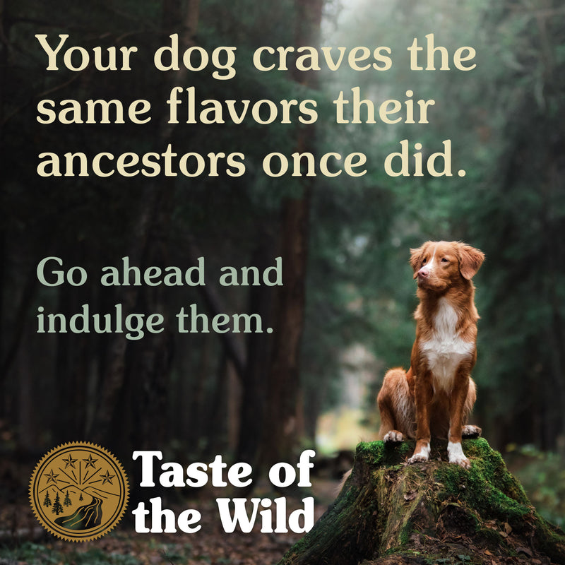 Taste of the Wild Pine Forest Dry Dog Food