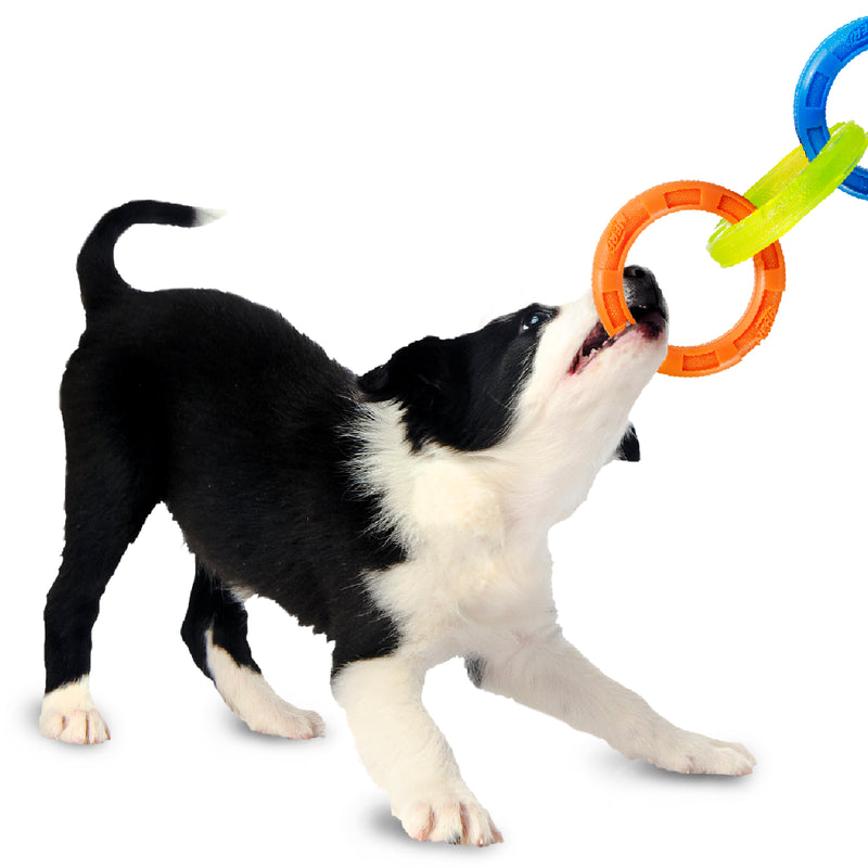 Nerf Dog Toy - TPR 3 Ring Tug Blue, Green and Orange 29cm 04