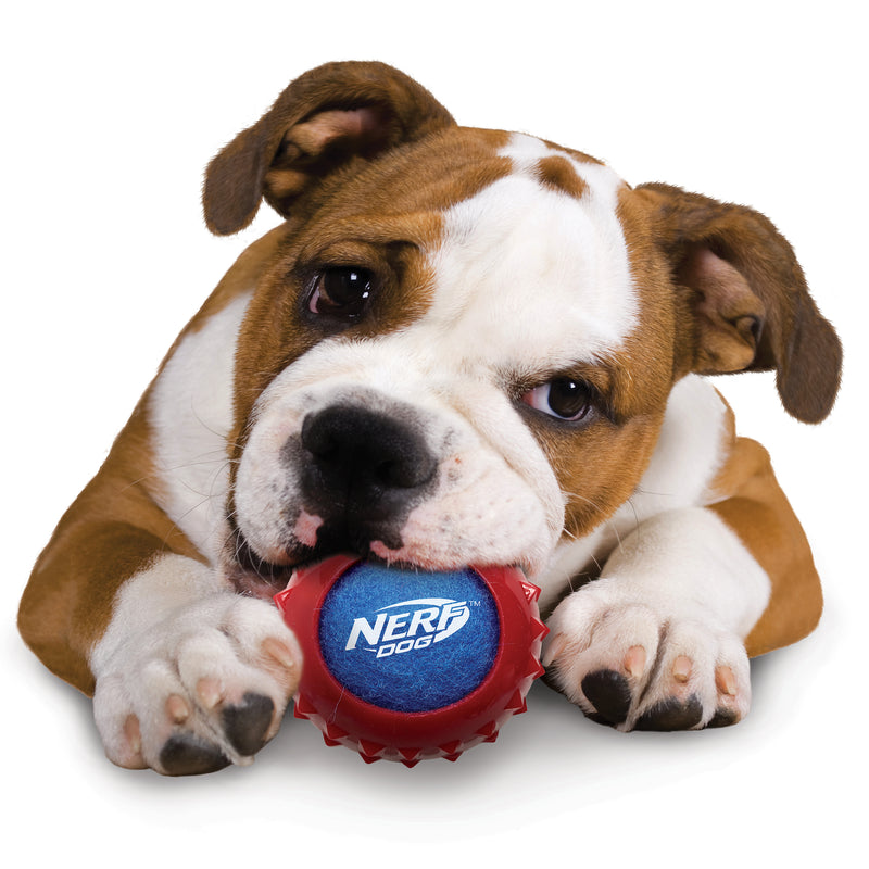 Nerf Dog Toy - Armour Ball Set Twin Pack 05