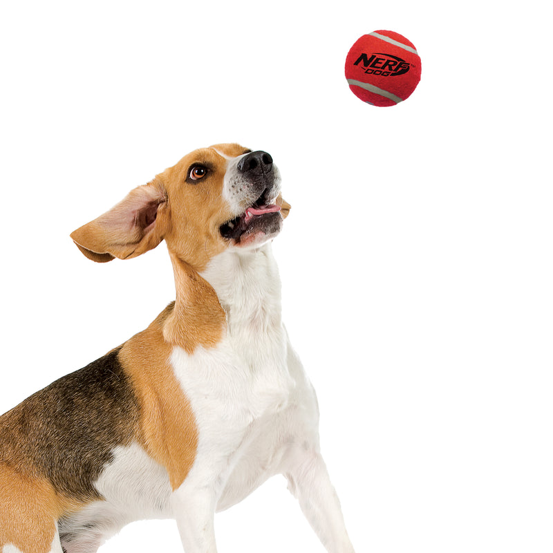 Nerf Dog Toy - Squeak Tennis Balls 6.25cm 12-Pack 06