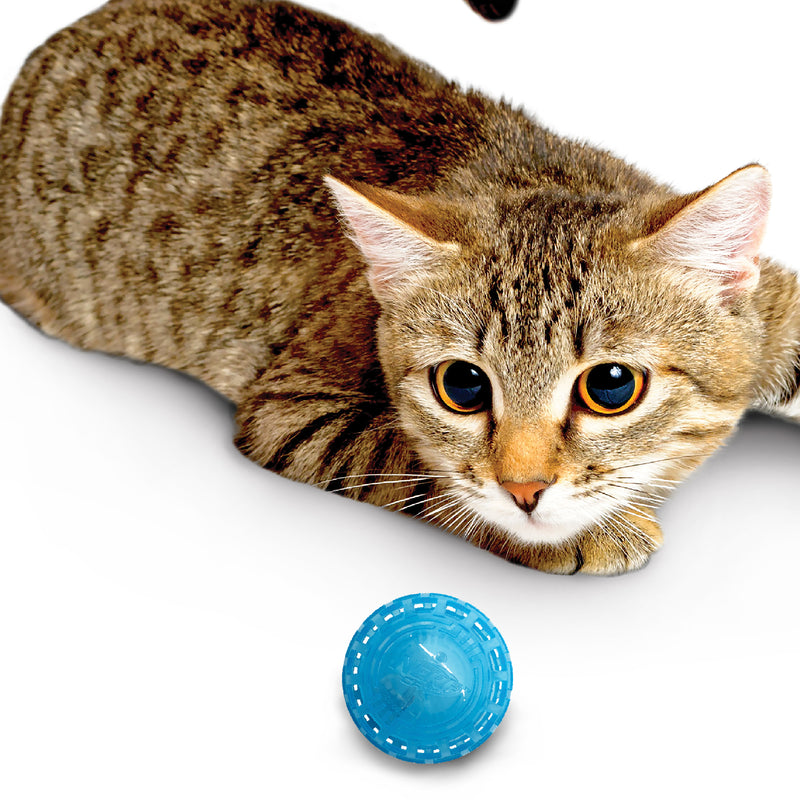 Nerf Cat Toy - Transparent PP Rattle Ball 7cm 06