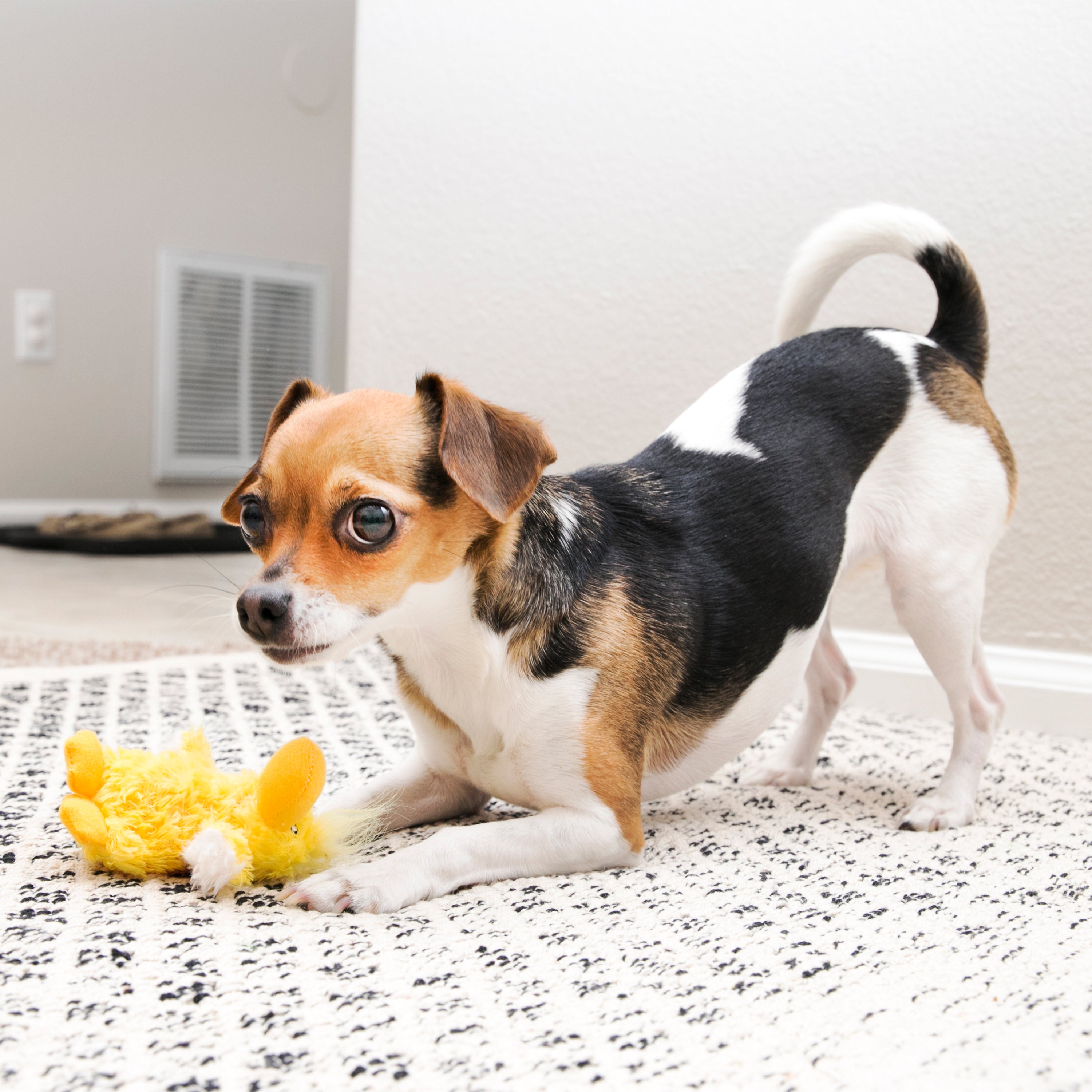KONG Dog Toys Dr. Noyz Duck 04