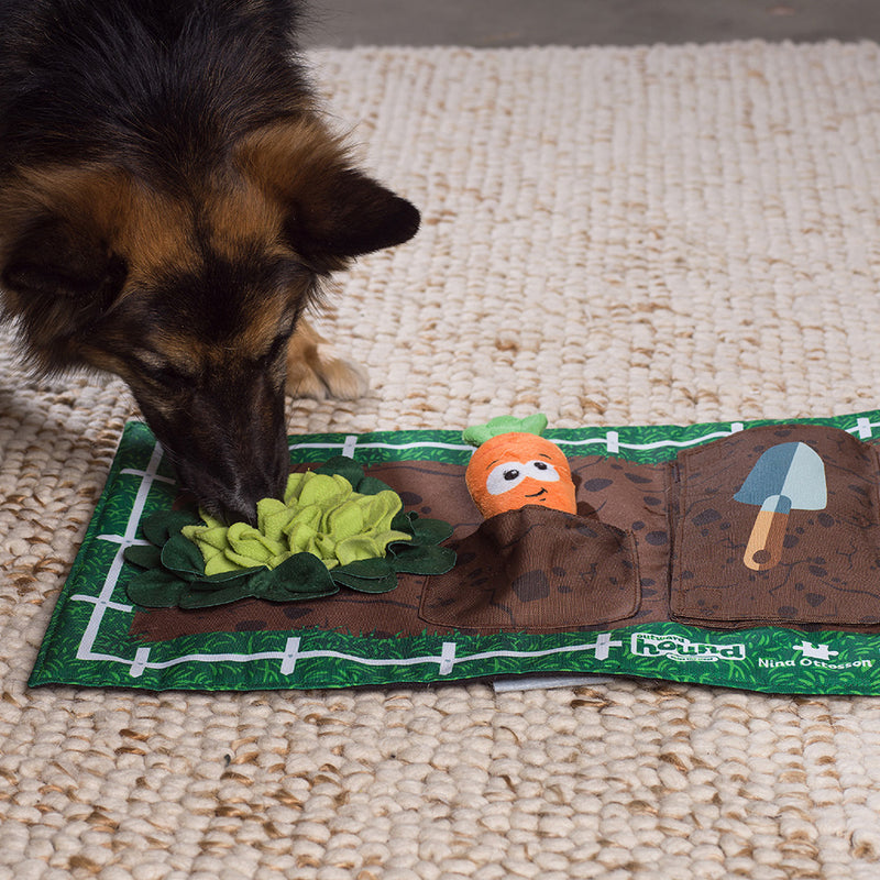 Nina Ottosson Dog Activity Matz Garden Game - Level 2