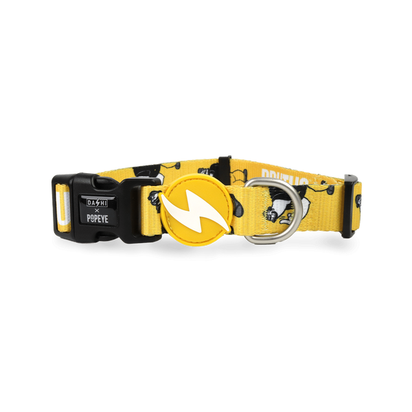 Dashi Dog Brutus Collar
