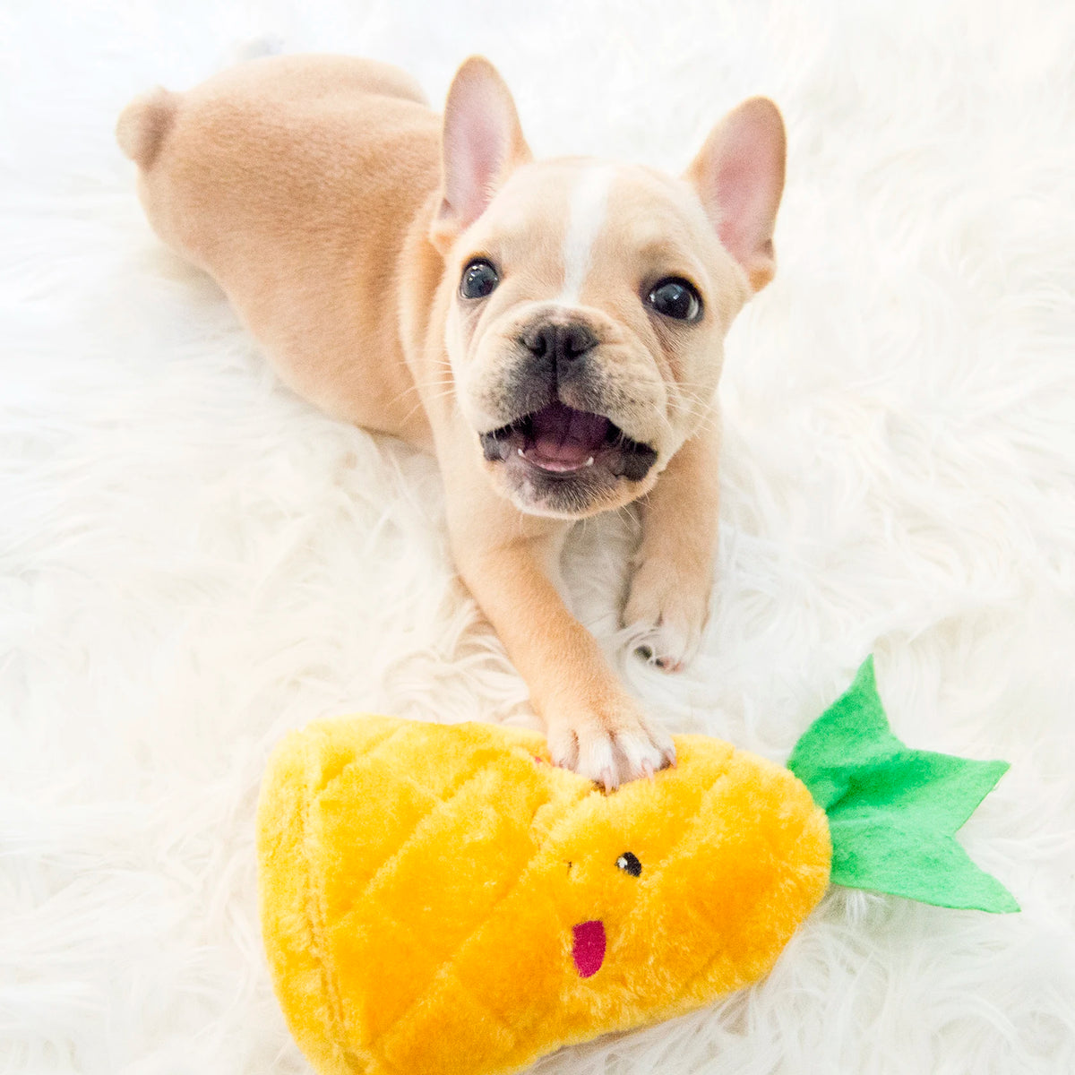 French Bulldog on a white rug with a Zippy Paws NomNomz plush pineapple dog toy