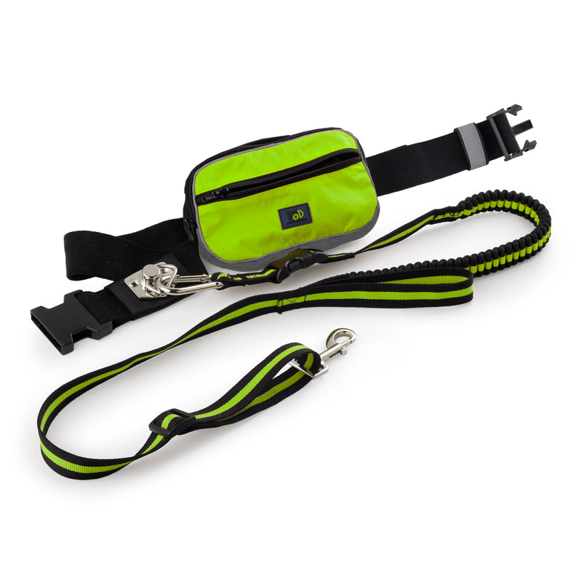 All for Paws AFP Dog Outdoor Jogging Leash & Collar With Bag - Green