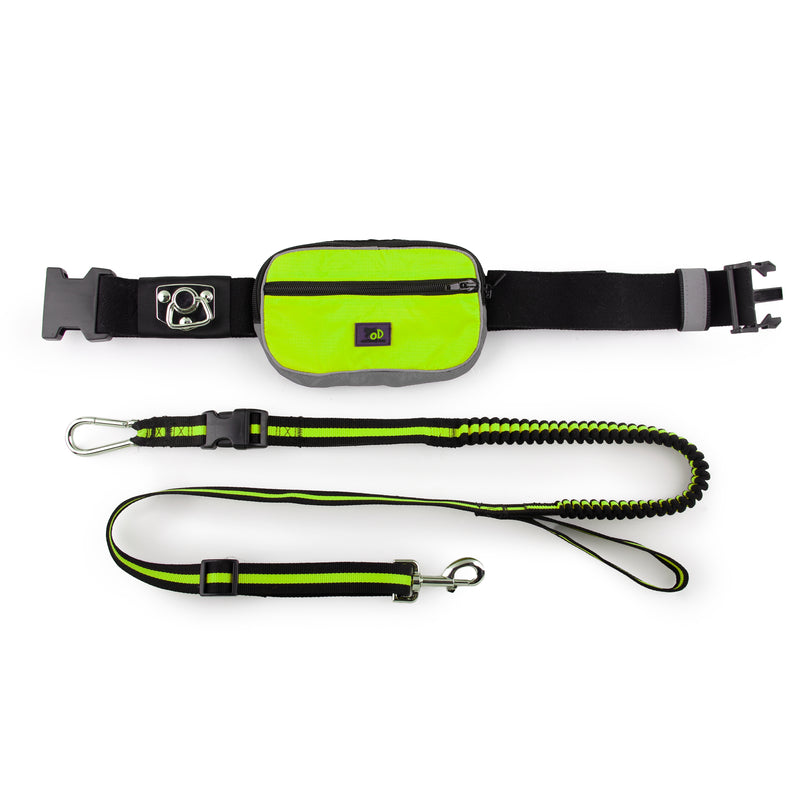 All for Paws AFP Dog Outdoor Jogging Leash & Collar With Bag - Green