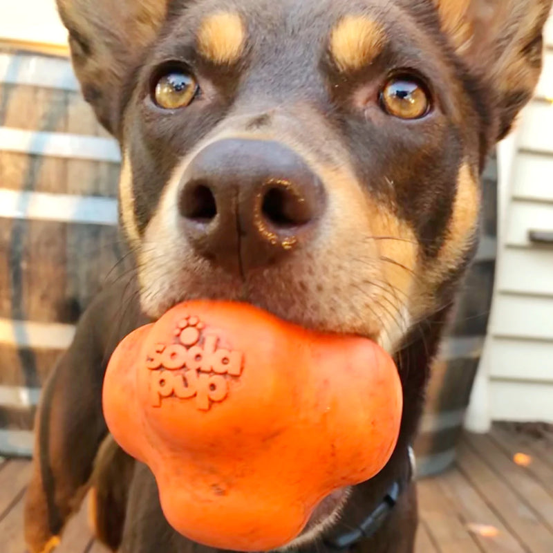 Magnum Crazy Bounce Ultra Durable Rubber Chew & Retrieving Toy - Black