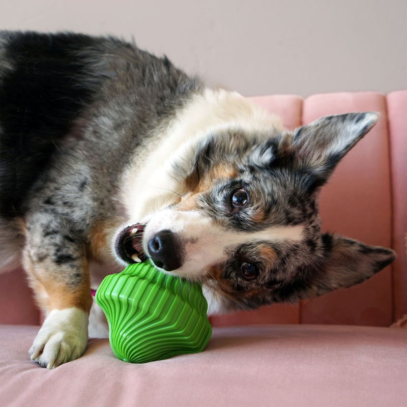 KONG Dog Toys Squeezz Orbitz Spin Top Assorted 05