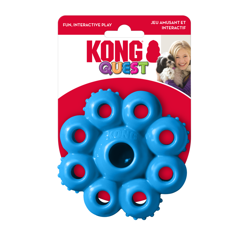 Kong online quest toys
