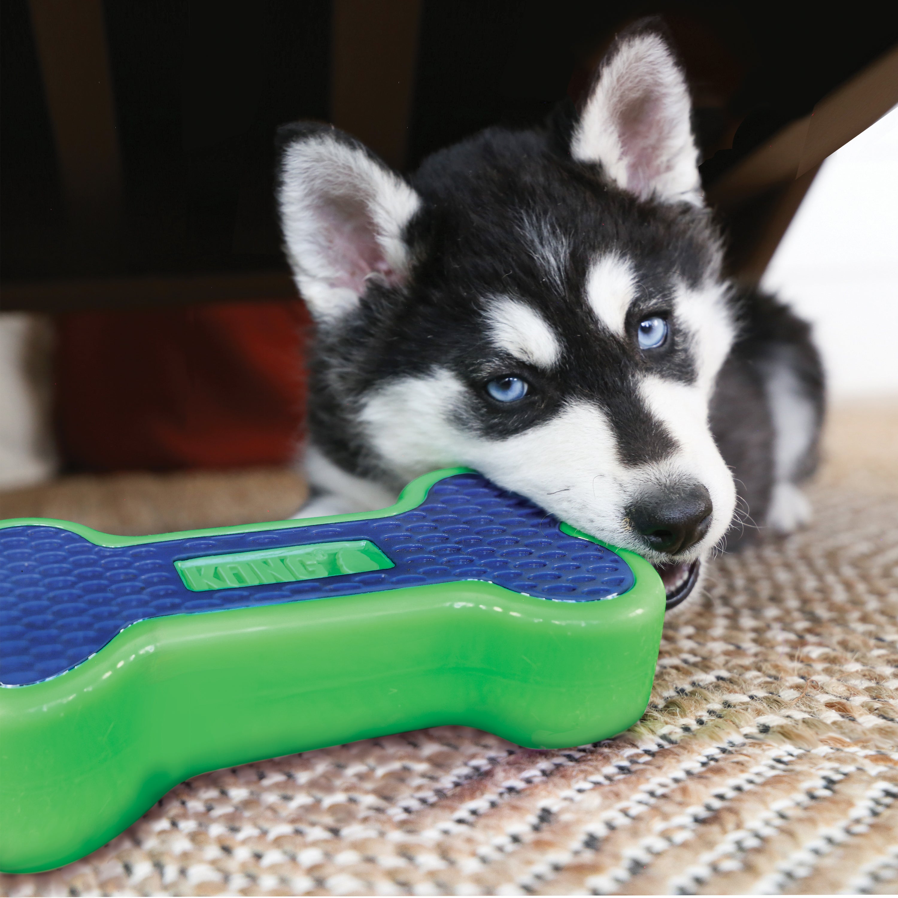 KONG Dog Toys Eon Bone 04