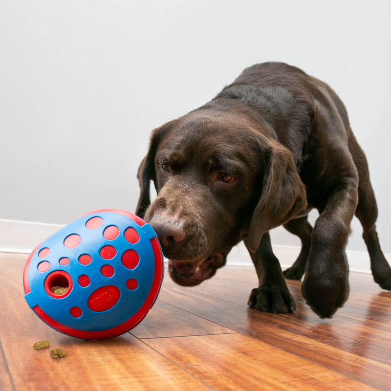 KONG Treat Dispenser Bamboo Feeder Ball Dog Toy, Medium