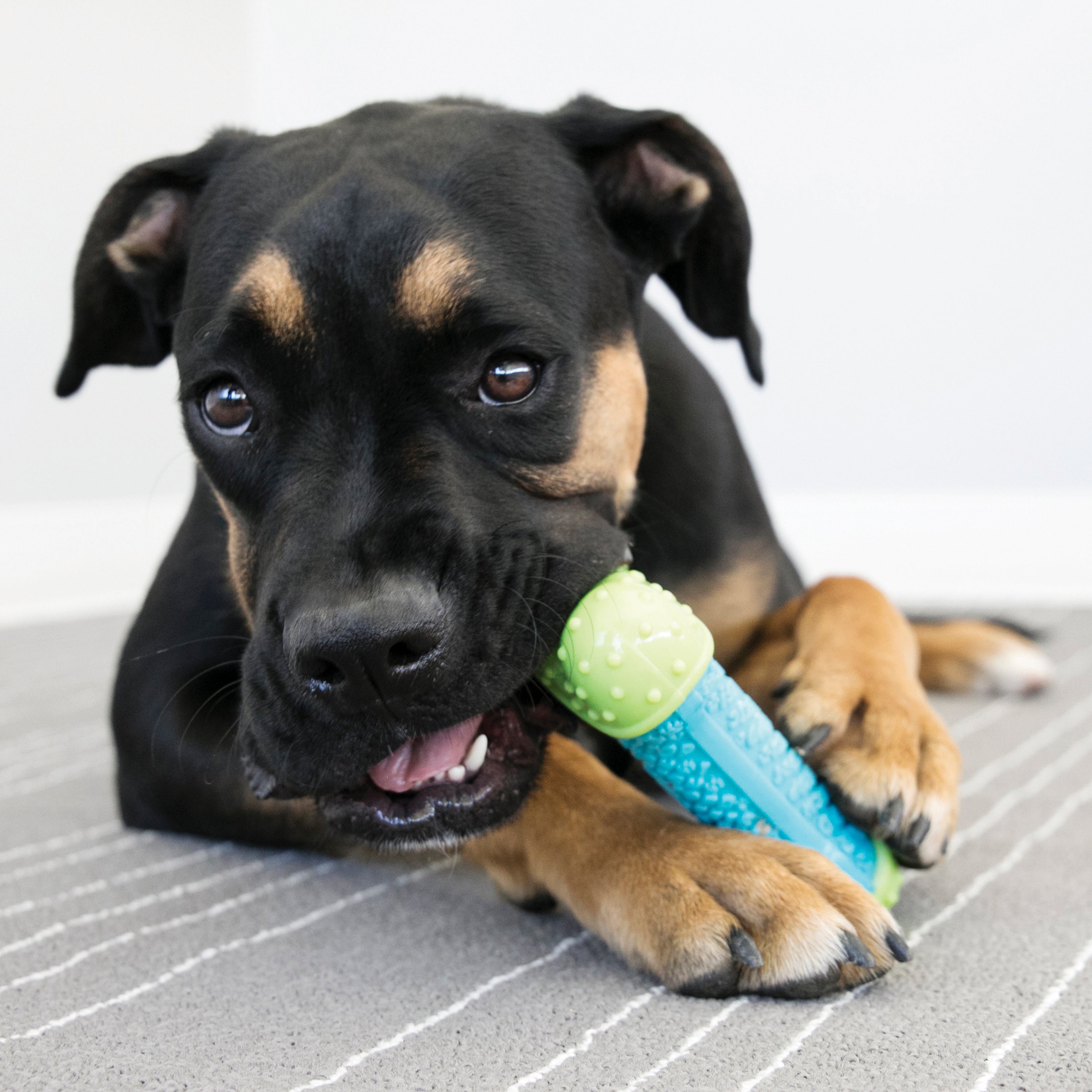 KONG Dog Toys CoreStrength Bone 03