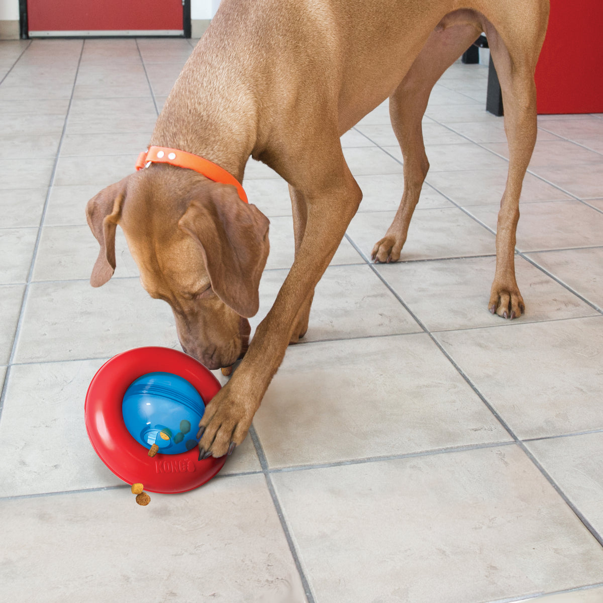 KONG Dog Treat Food Dispenser Toy Gyro