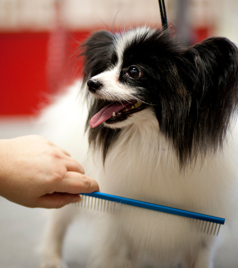 Plush Puppy Professional Grooming Combs C001 Grooming Combs 04