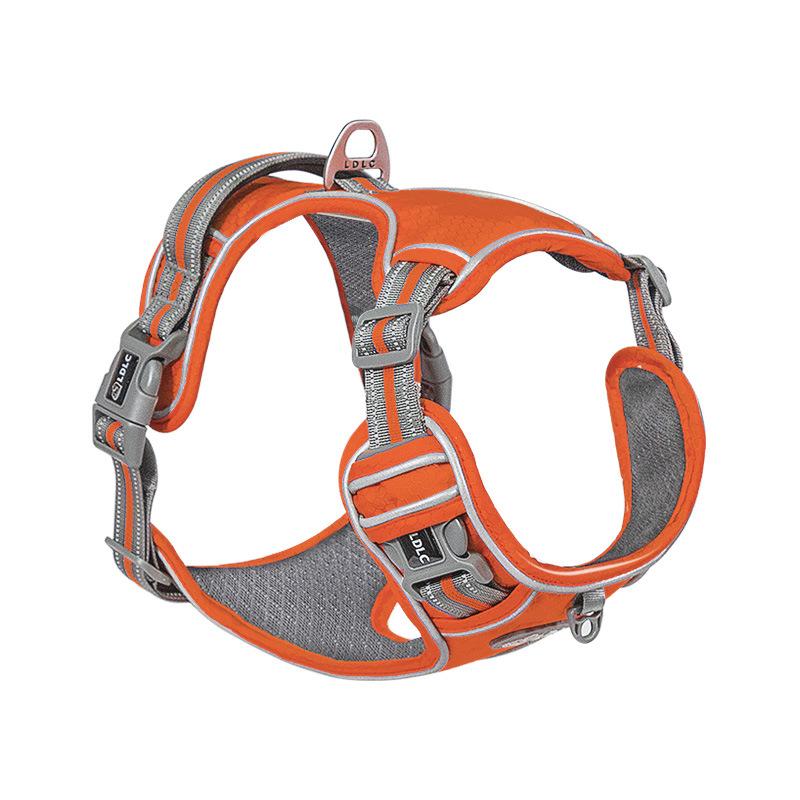Adjustable Dog Harness with 2 Buckles 01