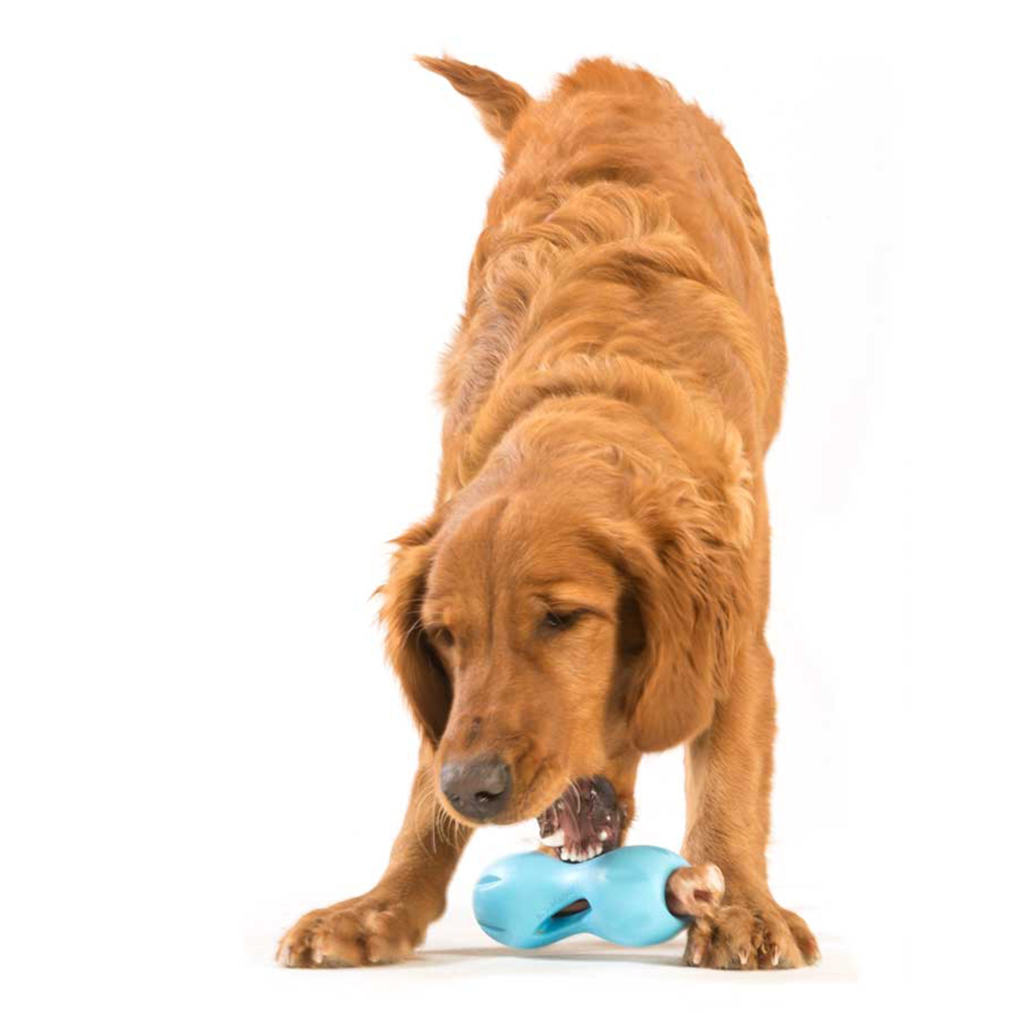 West Paw Qwizl Treat Dispensing Dog Toy - Small by PeekAPaw