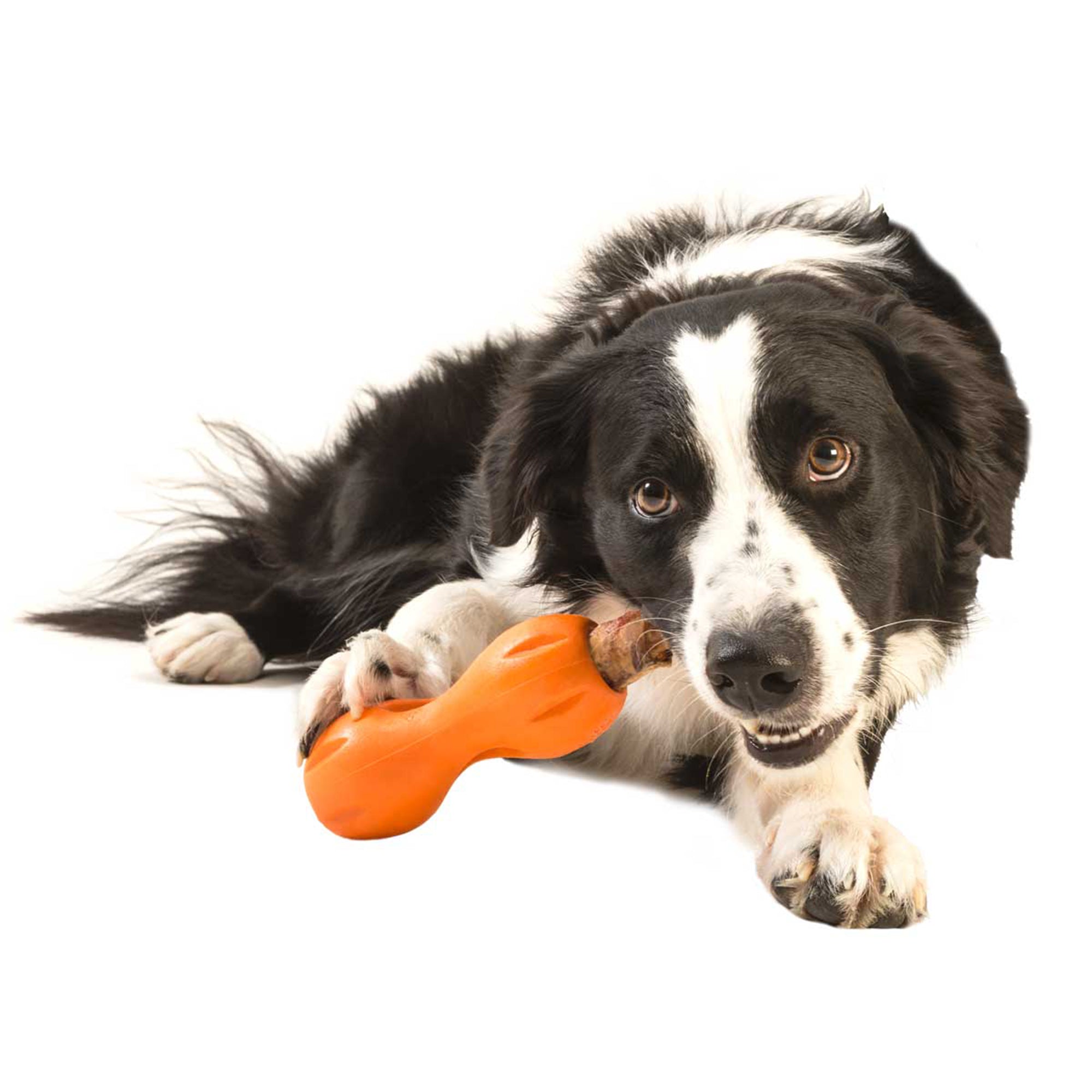 West Paw Qwizl Treat Dispensing Dog Toy - Large by PeekAPaw
