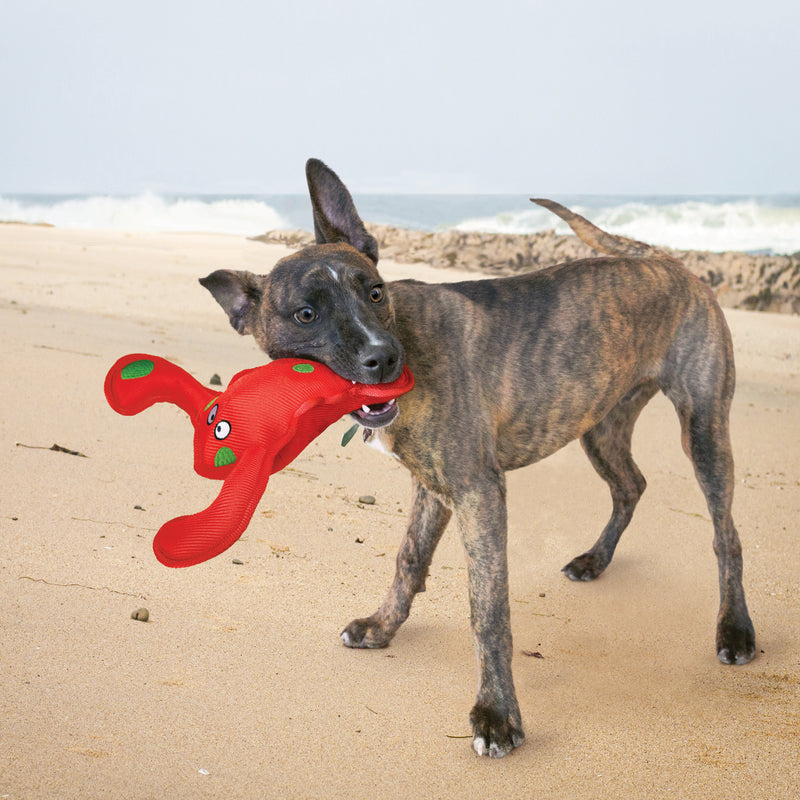 KONG Dog Toys Belly Flops Lobster 02