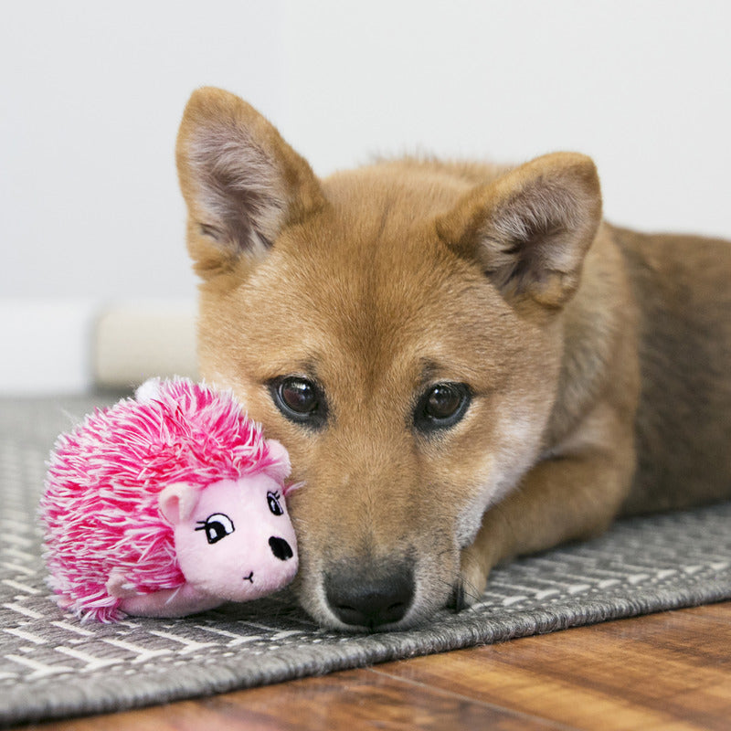 KONG Dog Toys Comfort HedgeHug Puppy Assorted 07