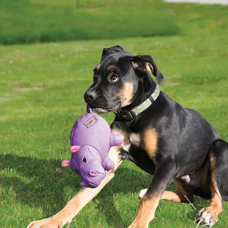 KONG Dog Toys Phatz Hippo 06