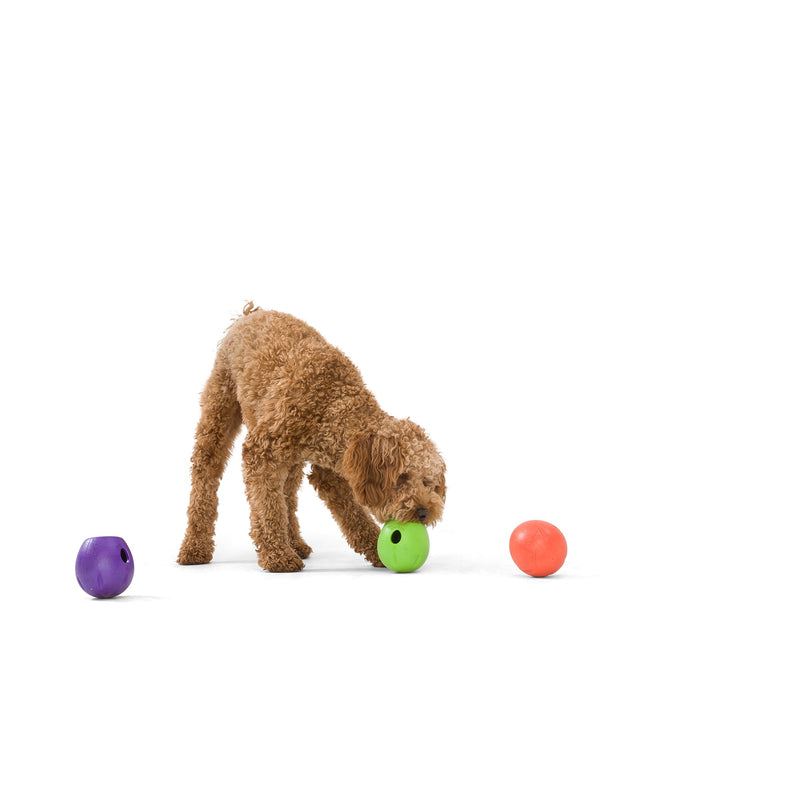 West Paw Rumbl Dog Toys 01