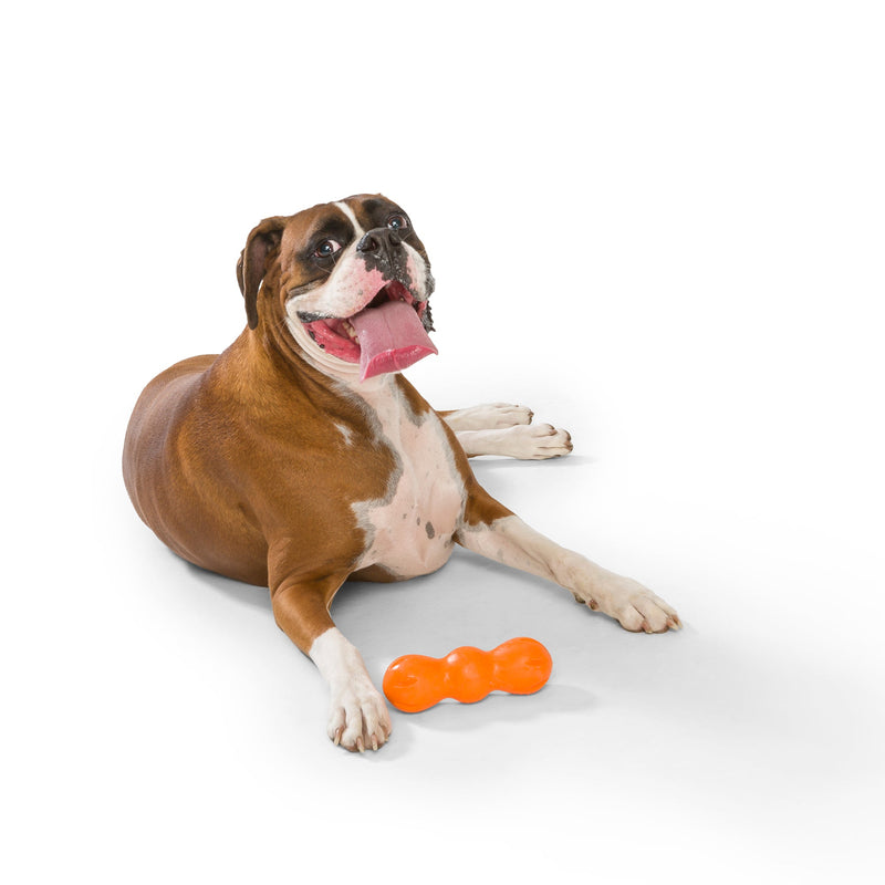 West Paw Rumpus Tough Fetch Stick Dog Toy - Medium by PeekAPaw