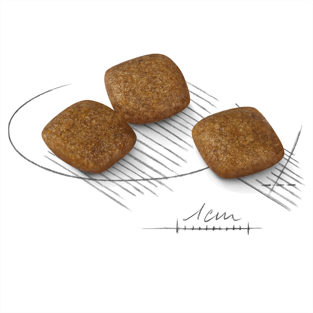 PeekAPaw Pet Supplies Kibble | PeekAPaw Pet Supplies