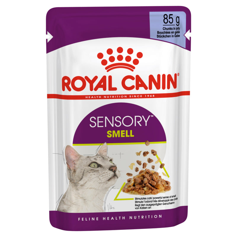 Royal Canin Wet Cat Food Sensory Smell Jelly | PeekAPaw Pet Supplies