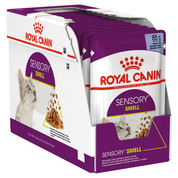 Royal Canin Wet Cat Food Sensory Smell Jelly | PeekAPaw Pet Supplies