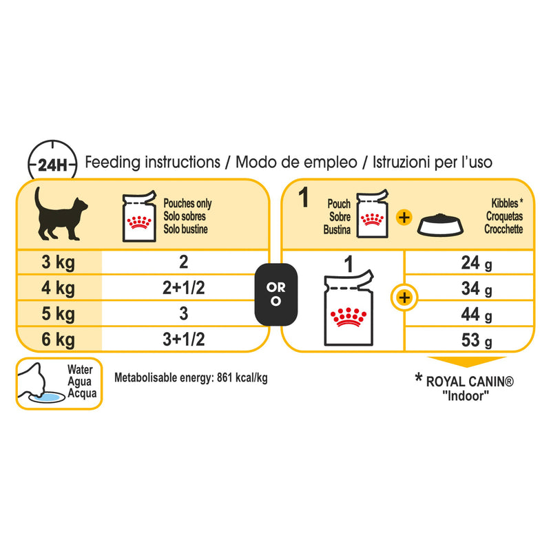 Royal Canin Wet Cat Food Sensory Taste Gravy | PeekAPaw Pet Supplies