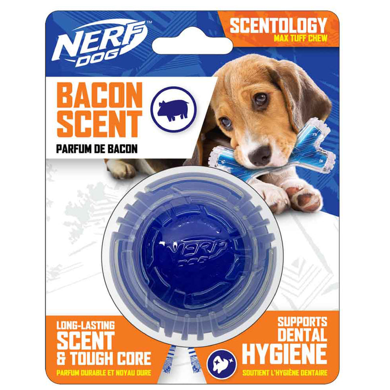 Nerf Scentology Dog Toy - Ball Bacon Clear/Blue 25cm 01