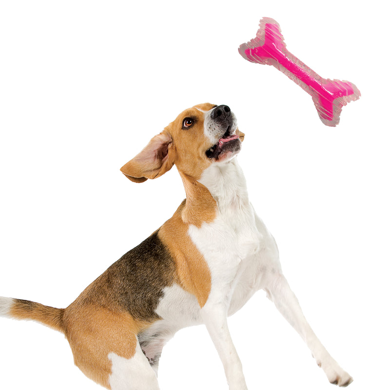 Nerf Scentology Dog Toy - Curved Bone Bacon Clear/Pink 22.5cm 05